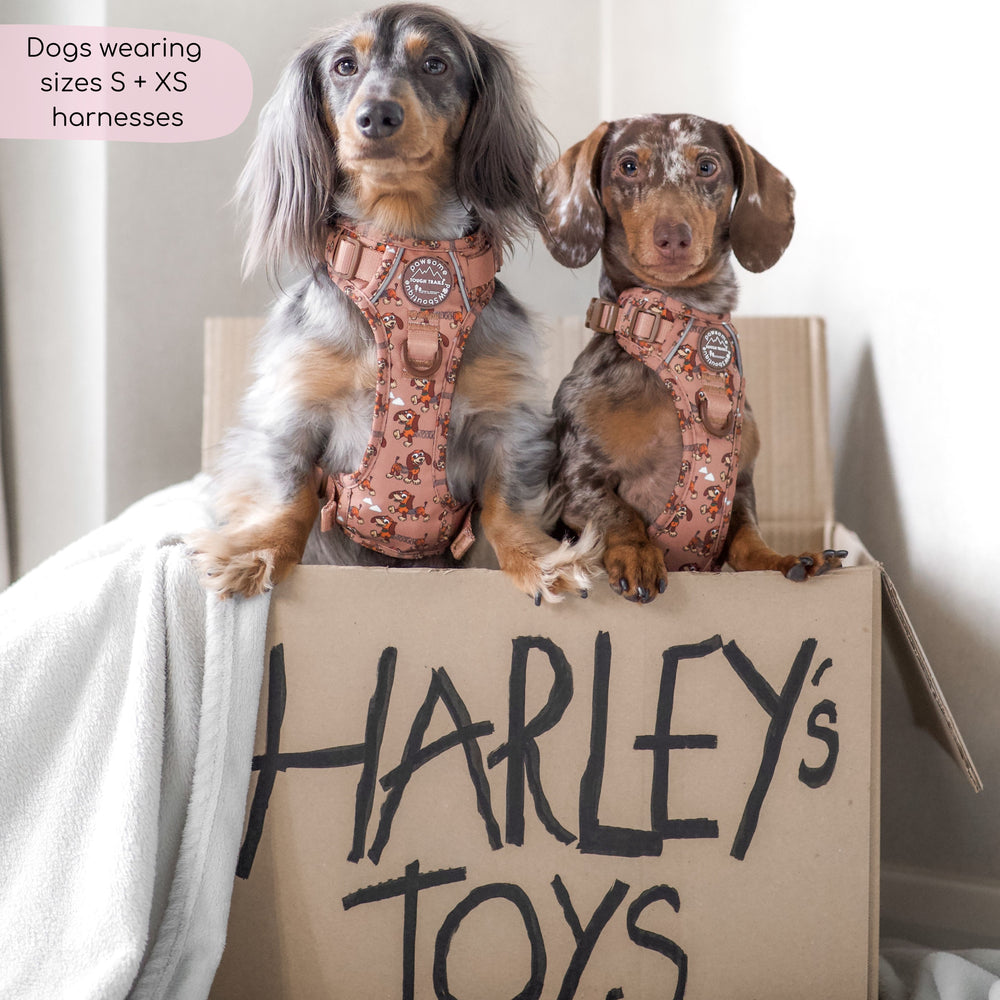 Disney© Tough Trails™ Harness - Slinky