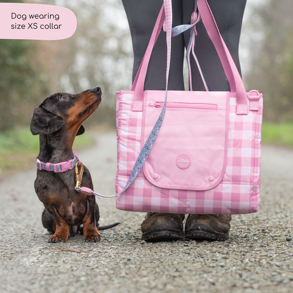 Disney© Collar - Mad Hatters Tea Party