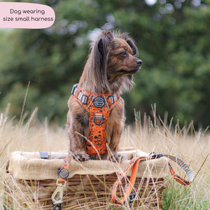 Disney© Tough Trails™ Harness - Halloween
