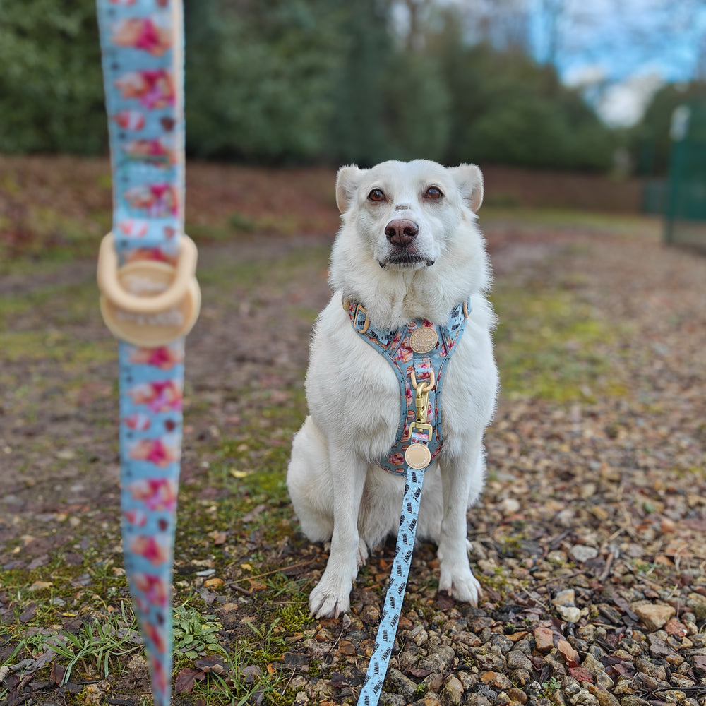 Disney© Lead - Winnie the Pooh