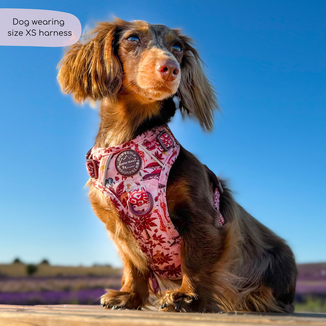 Disney© Tough Trails™ Harness - Sunset Safari
