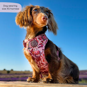 Disney© Tough Trails™ Harness - Sunset Safari