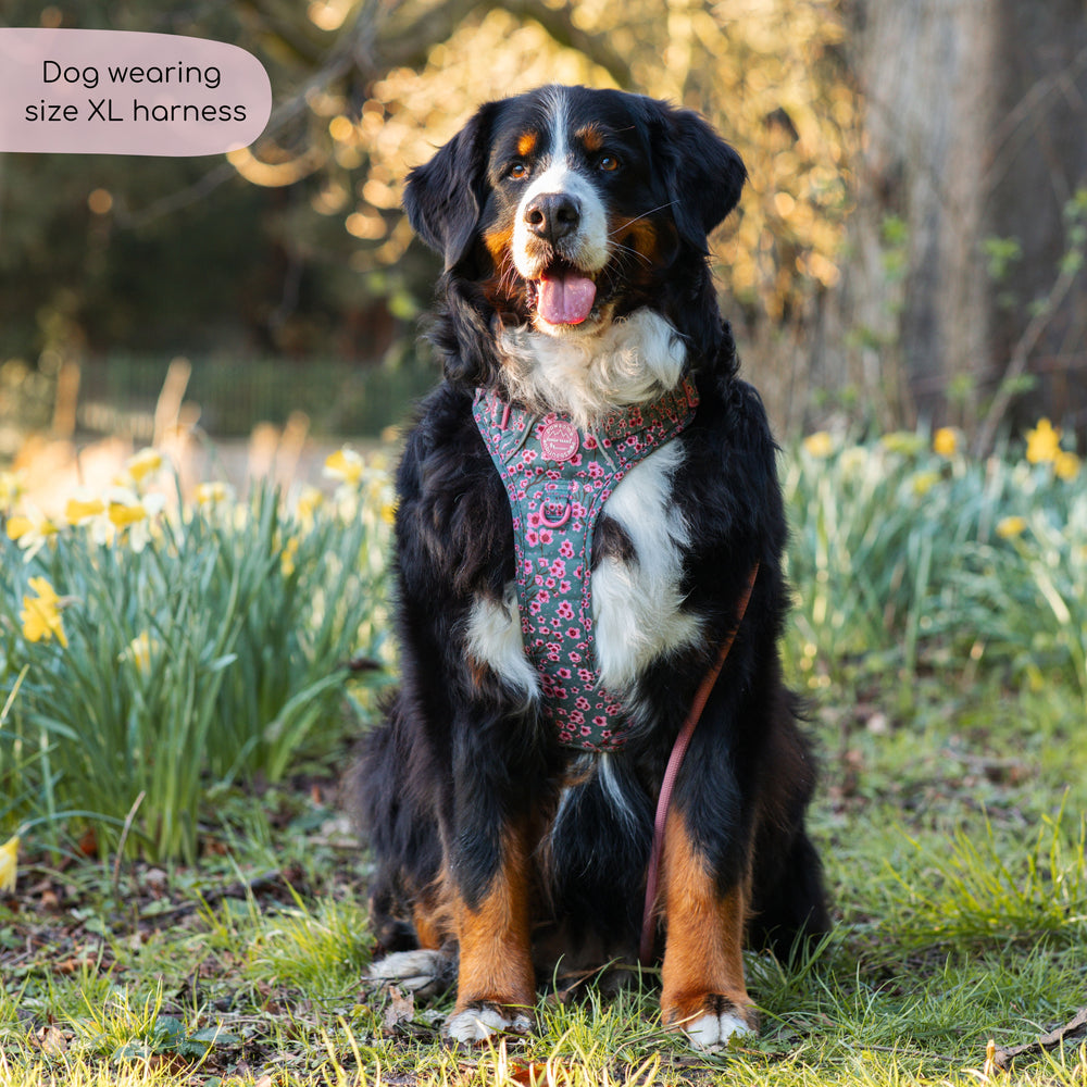 Tough Trails™ Harness -  Cherry Blossom