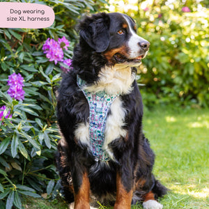 Disney© Tough Trails™ Harness - Stitch's Slumber Party