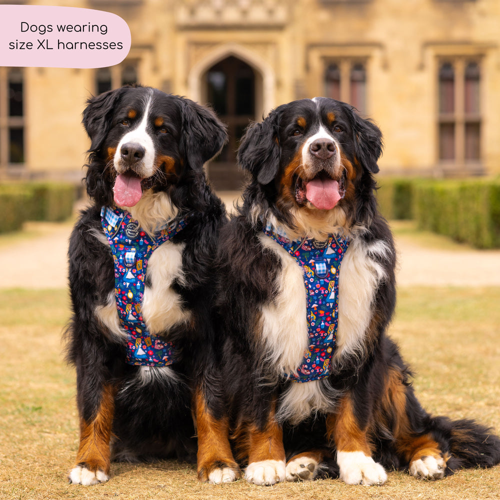 Disney© Tough Trails™ Harness - Alice In Wonderland