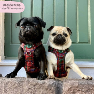 Tough Trails™ Harness - Yuletide Plaid