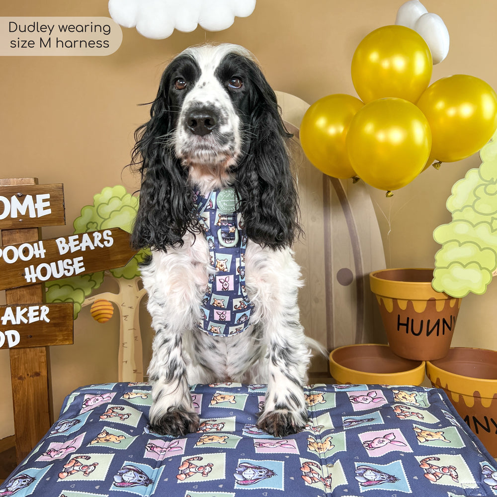 Disney© Tough Trails™ Harness -  Winnie + Friends