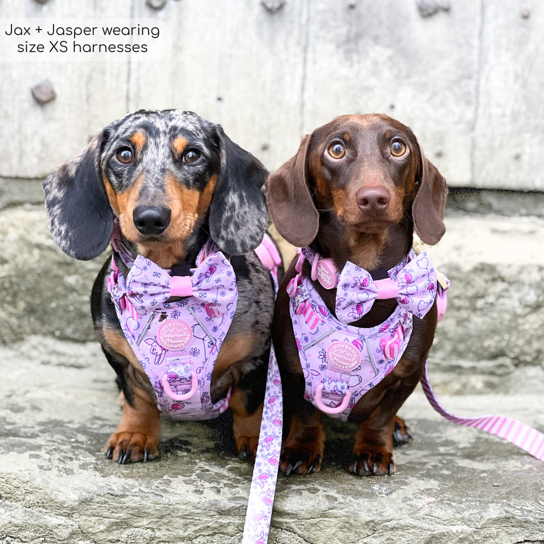 Disney© Tough Trails™ Harness - Piglet