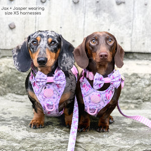 Disney© Tough Trails™ Harness - Piglet