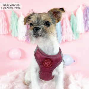 Pawsome Pup Harness - Burgundy