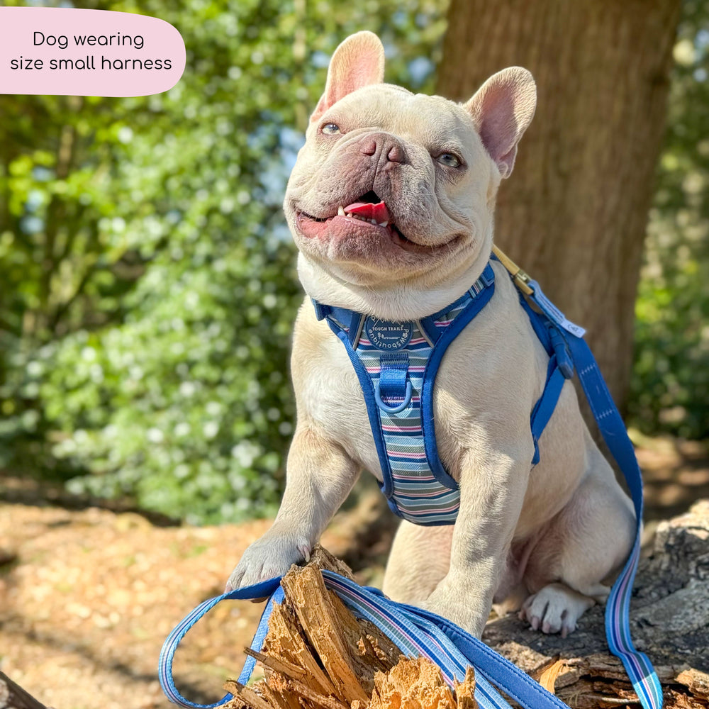 Tough Trails™ Harness -  Sailor Stripes