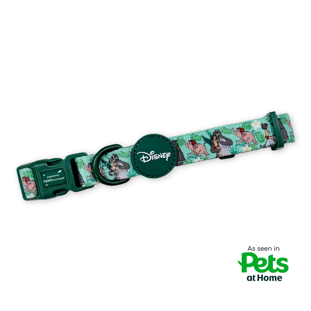 Disney© Collar - Jungle Book