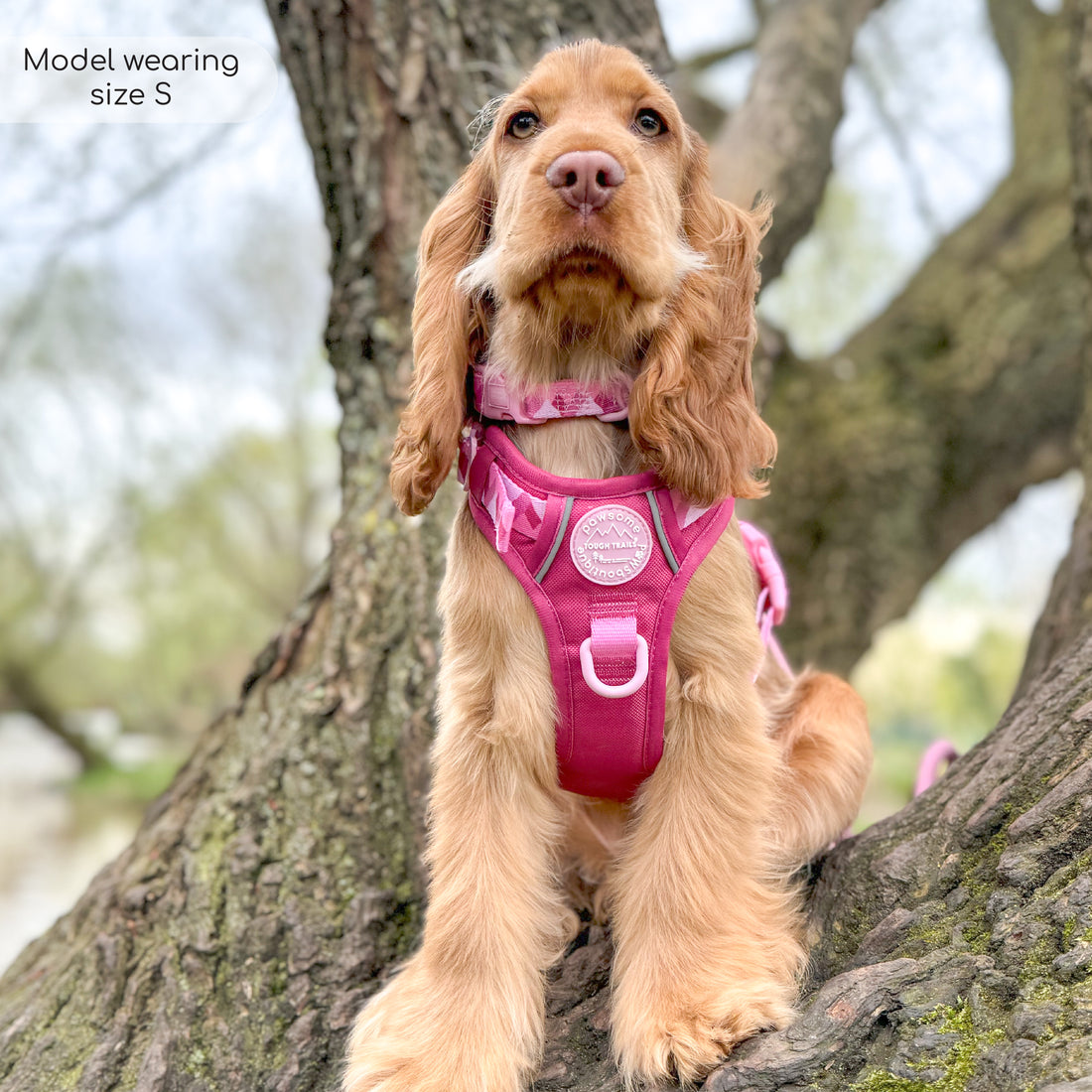 Tough Trails™ Harness - Walkies Ready® Raspberry Pink