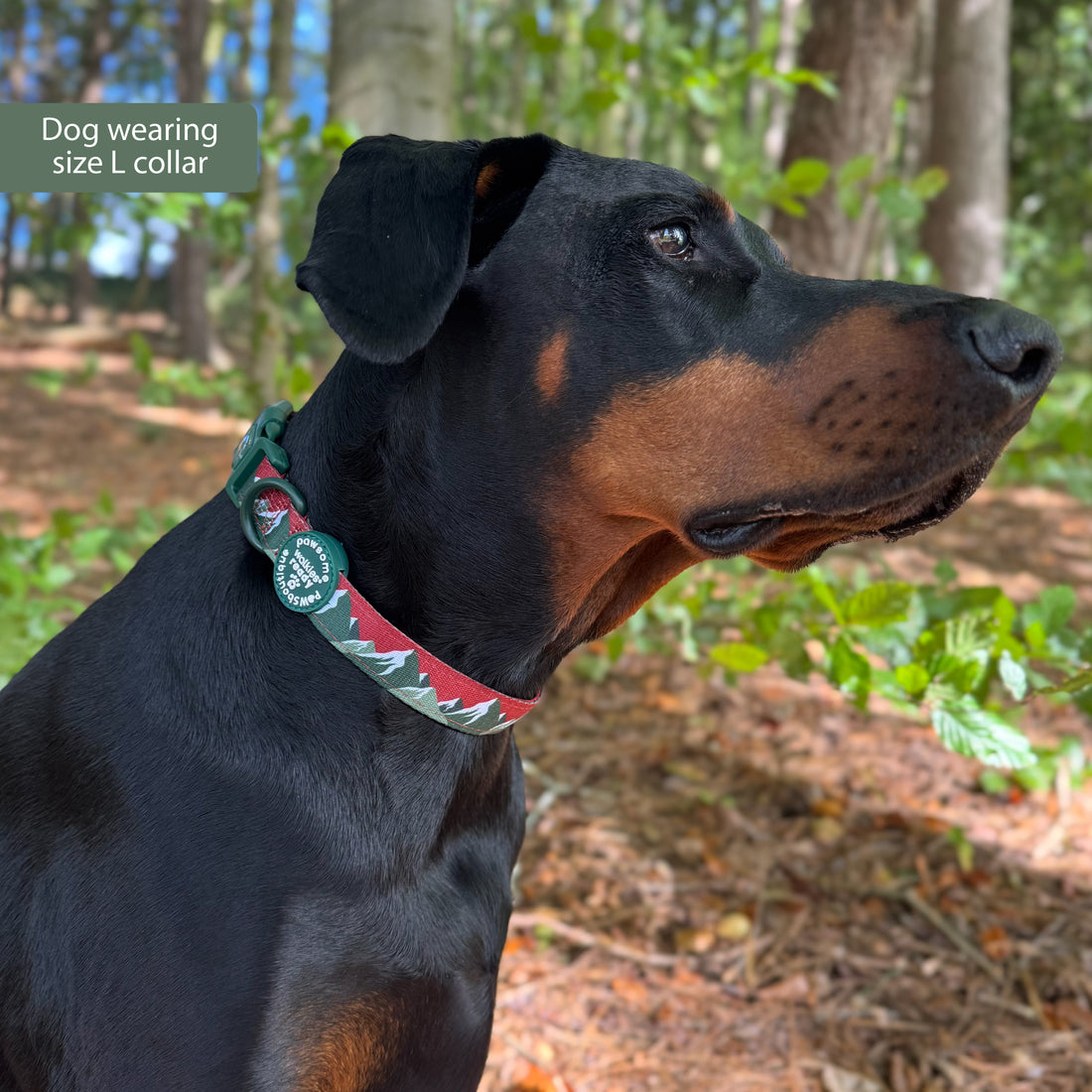 Collar – Walkies Ready® Snowy Mountains