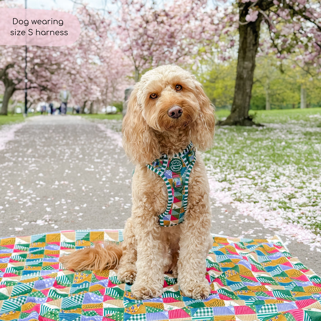 Tough Trails™ Harness -  Patchwork