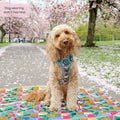 Tough Trails™ Harness -  Patchwork