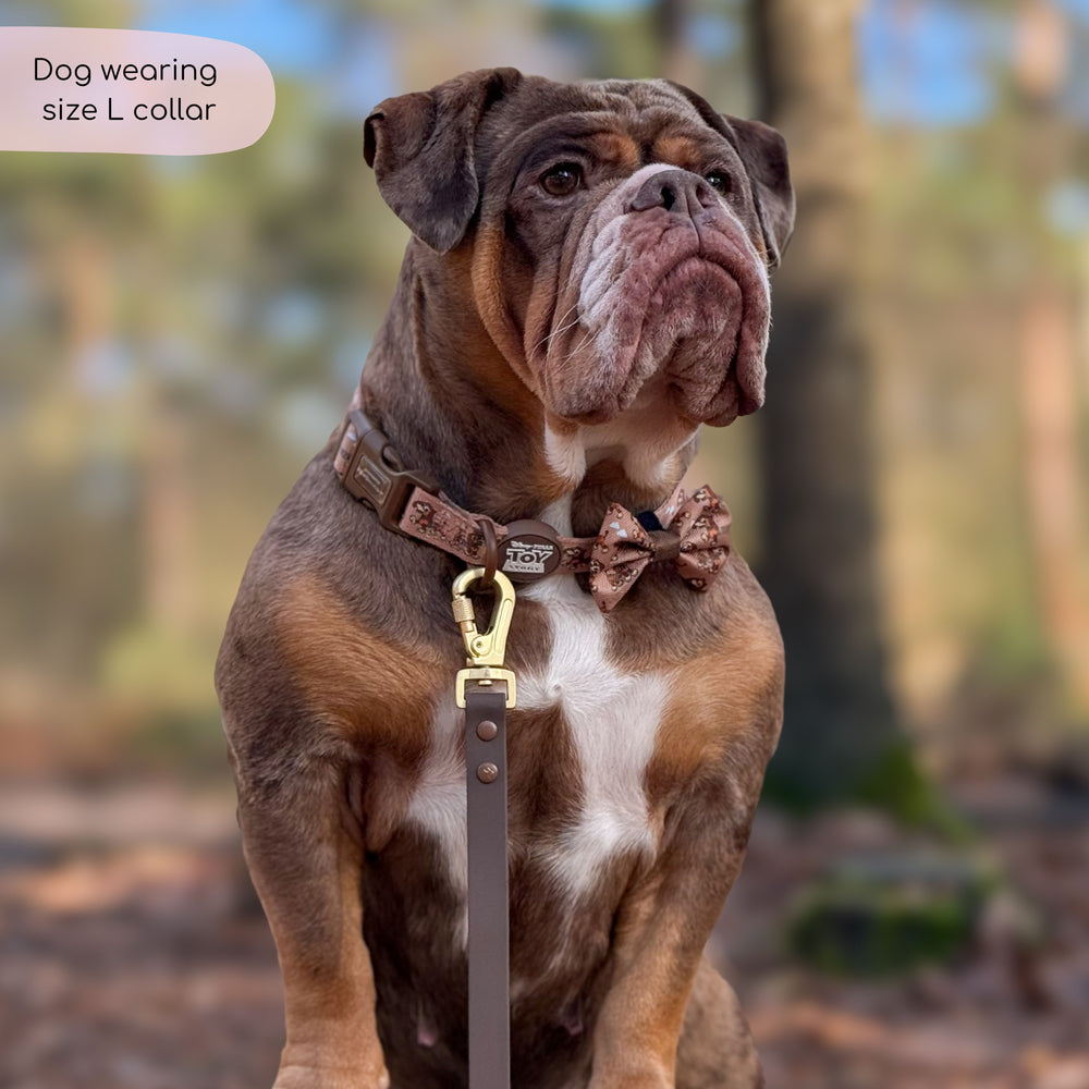 Disney© Collar - Slinky