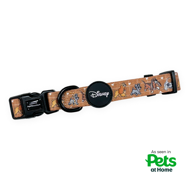 Disney© Collar - Disney Dogs