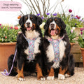 Tough Trails™ Harness -  Whimsical Wildflowers