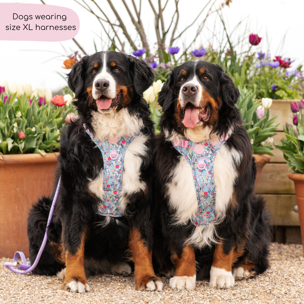 Tough Trails™ Harness -  Whimsical Wildflowers