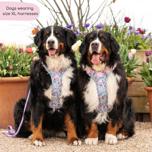 Tough Trails™ Harness -  Whimsical Wildflowers