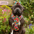 Disney© Tough Trails™ Harness - Winnie Goes Retro