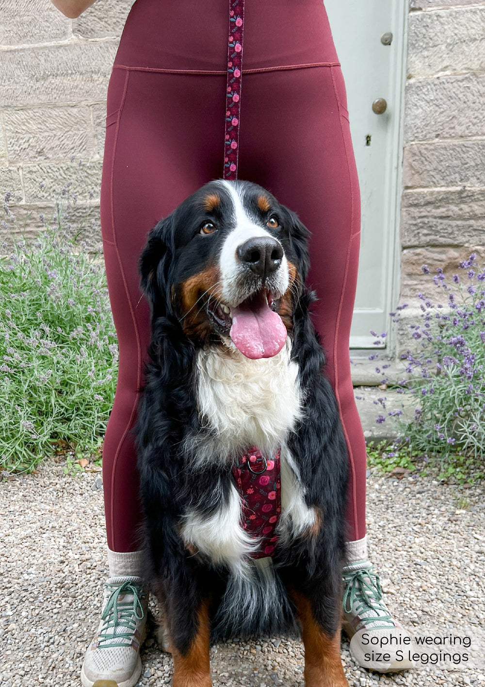 Walkies Ready® Leggings - Mulberry