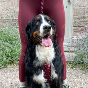 Walkies Ready® Leggings - Mulberry
