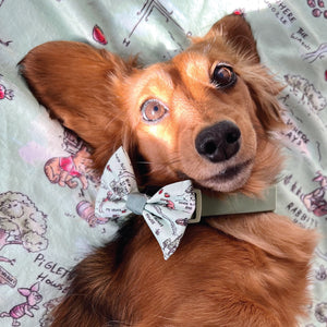 Disney© Bow Tie - 100 Aker Wood