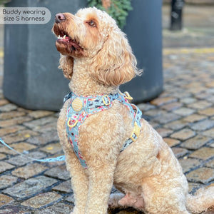 Disney© Tough Trails™ Harness - Winnie The Pooh