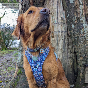 Disney© Tough Trails™ Harness -  Winnie + Friends