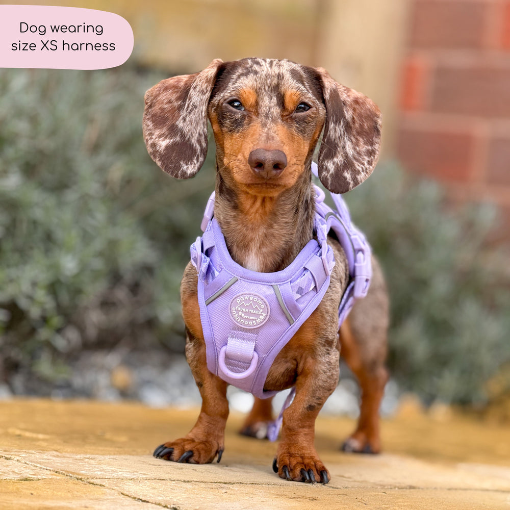 Tough Trails™ Harness - Walkies Ready® Lavender Lilac