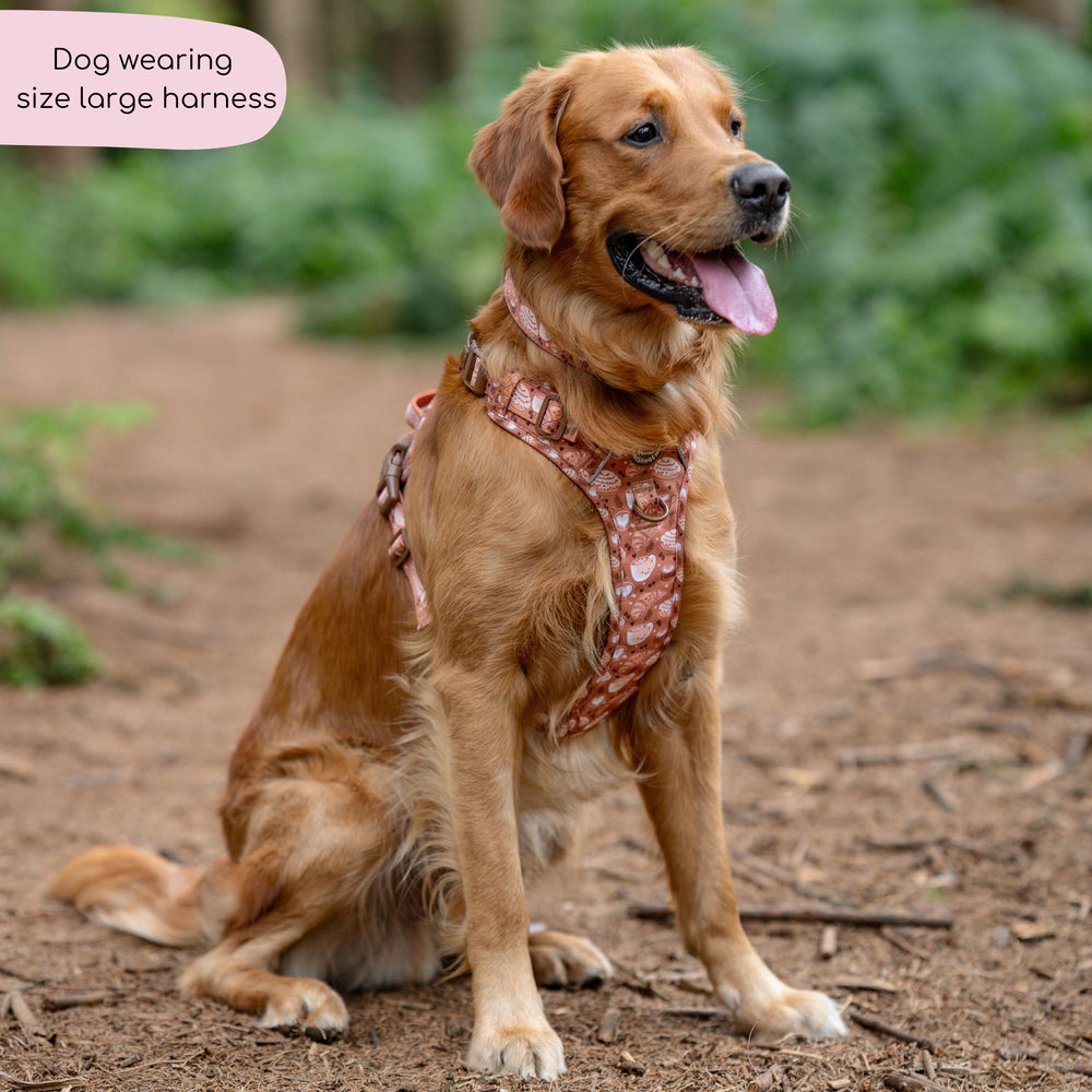Tough Trails™ Harness - Cinnamon Spice