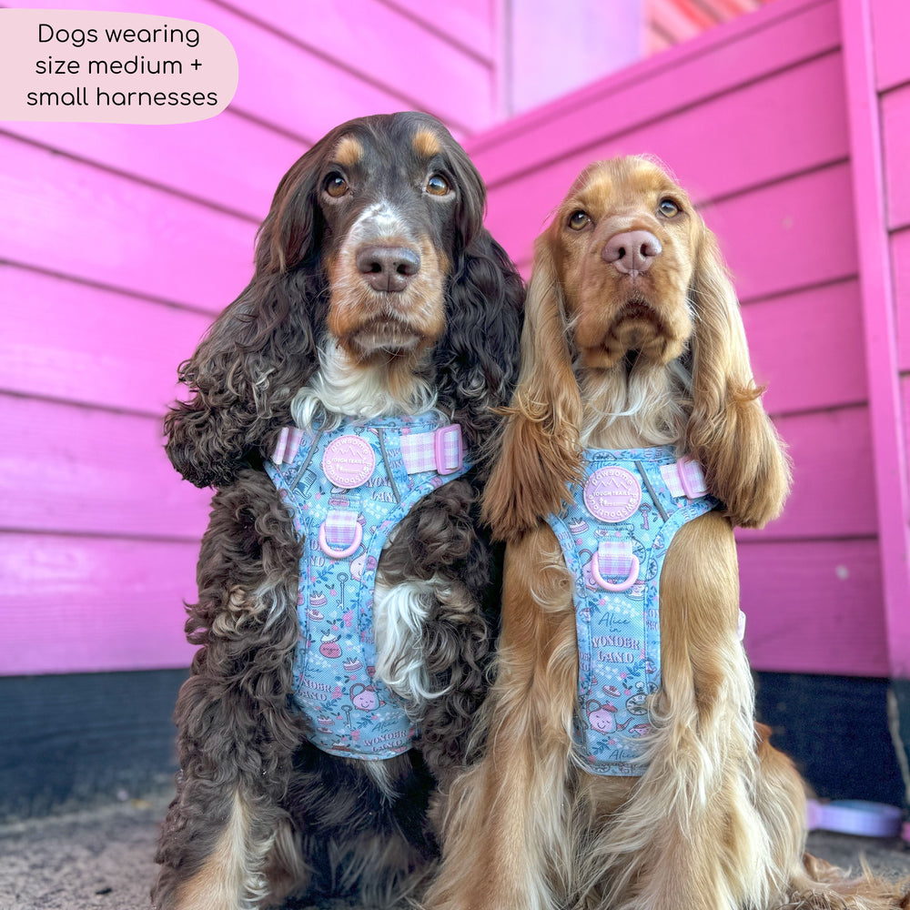 Disney© Tough Trails™ Harness - Mad Hatters Tea Party