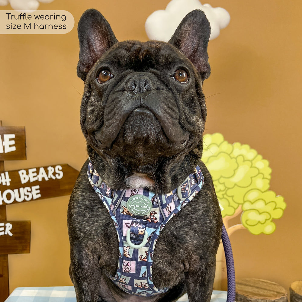 Disney© Tough Trails™ Harness -  Winnie + Friends