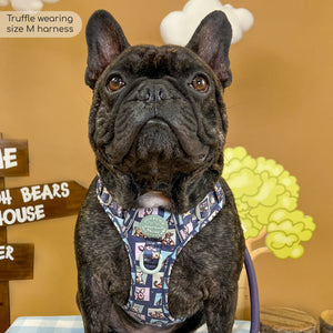 Disney© Tough Trails™ Harness -  Winnie + Friends