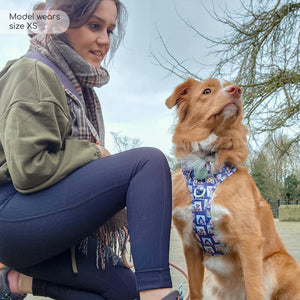 Ribbed Leggings - Black