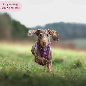 Tough Trails™ Harness - Walkies Ready® Plum