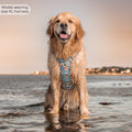 Disney© Tough Trails™ Harness - Lion Friends