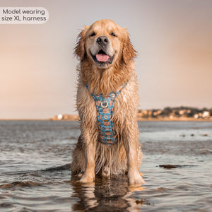 Disney© Tough Trails™ Harness - Lion Friends