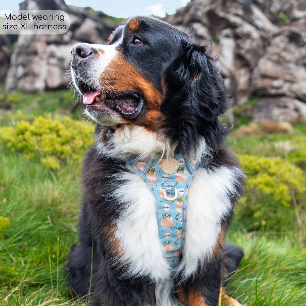 Disney© Tough Trails™ Harness - Lion Friends
