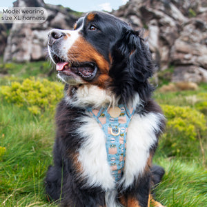 Disney© Tough Trails™ Harness - Lion Friends