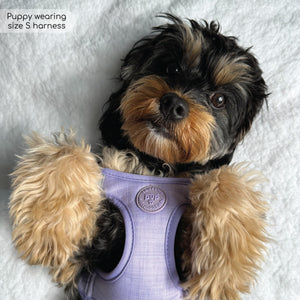 Pawsome Pup Harness - Lilac