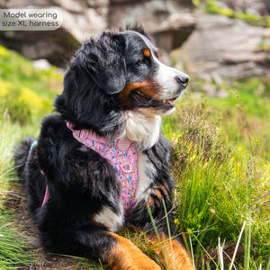 Disney© Tough Trails™ Harness - Nala