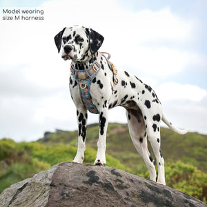 Disney© Tough Trails™ Harness - Lion Friends