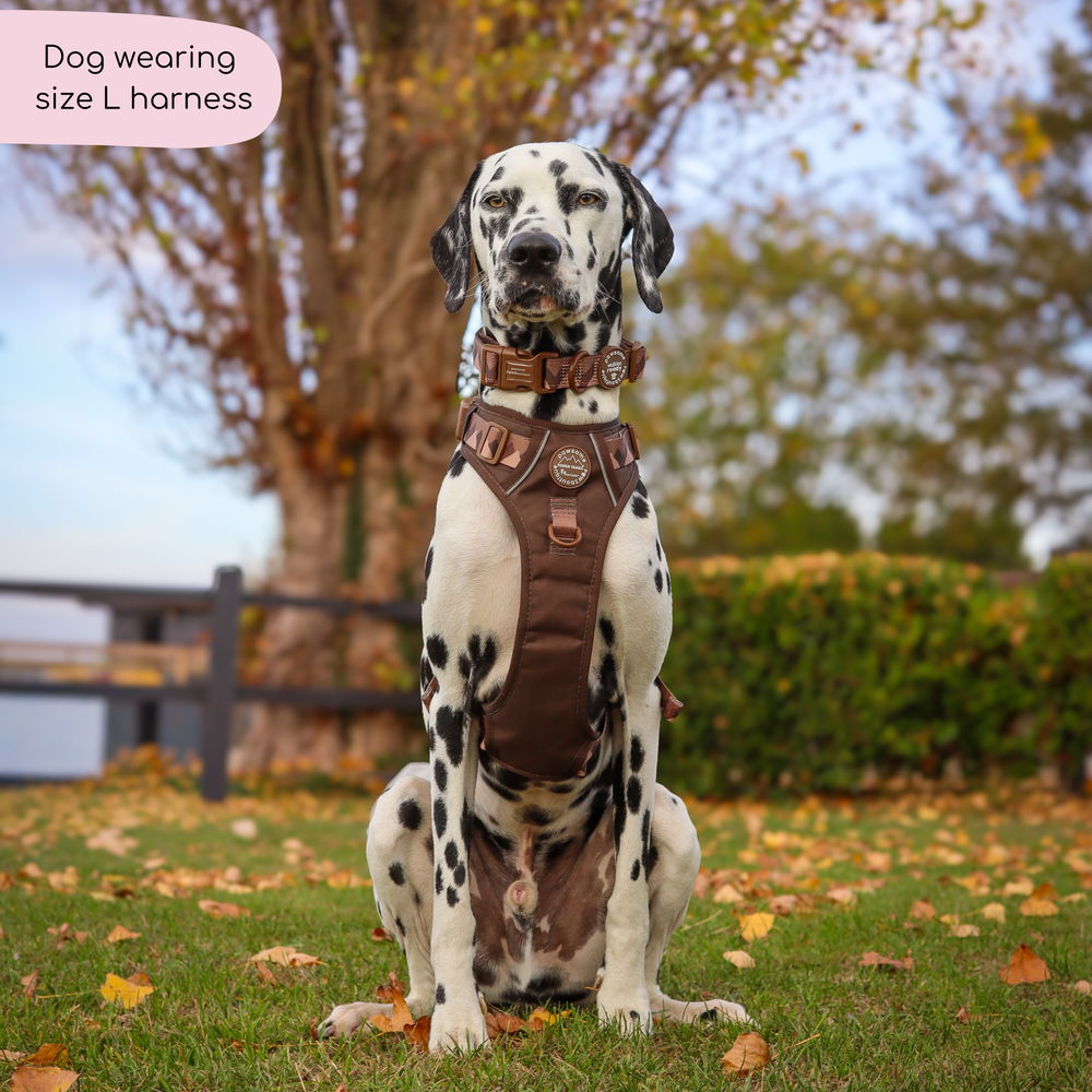 Tough Trails™ Harness - Walkies Ready® Chocolate Brown