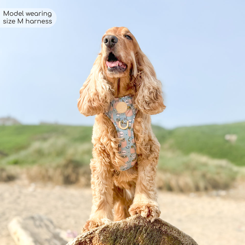 Disney© Tough Trails™ Harness - Lion Friends