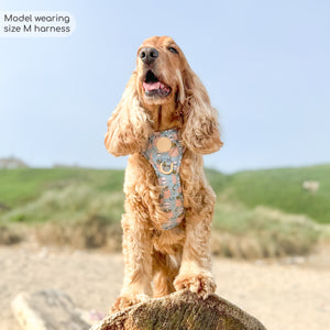 Disney© Tough Trails™ Harness - Lion Friends