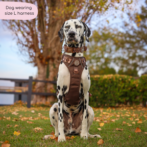 Tough Trails™ Harness - Walkies Ready® Chocolate Brown