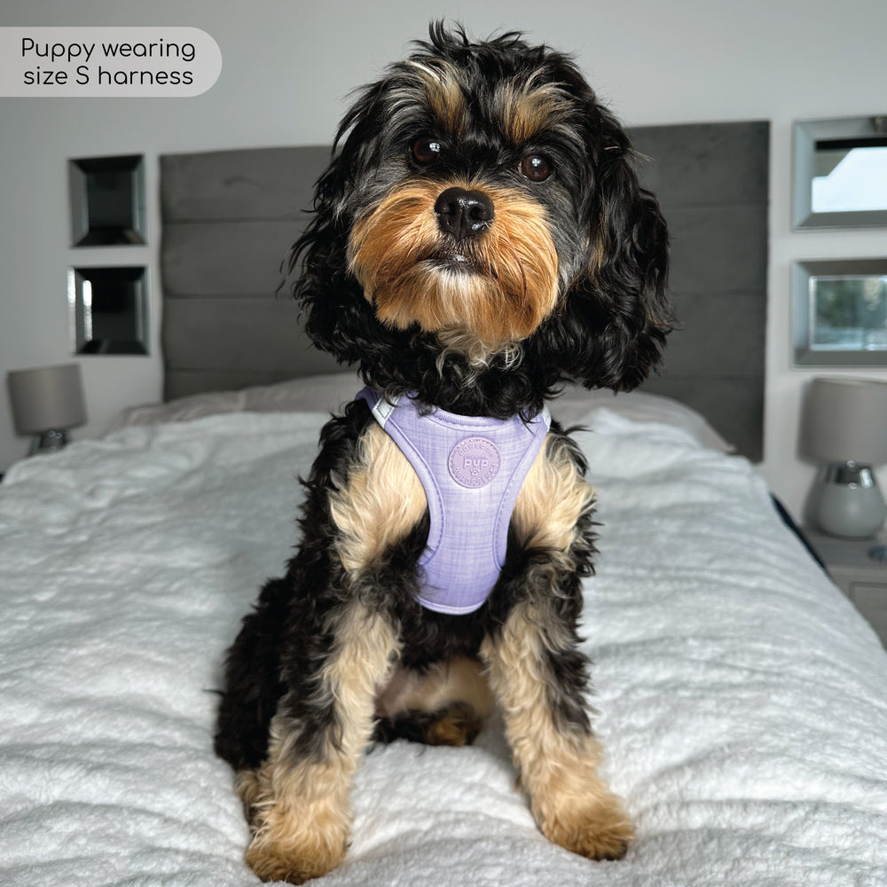 Pawsome Pup Harness - Lilac